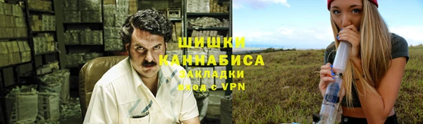 прущие грибы Бронницы
