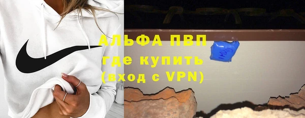 прущие грибы Бронницы