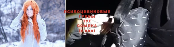 прущие грибы Бронницы
