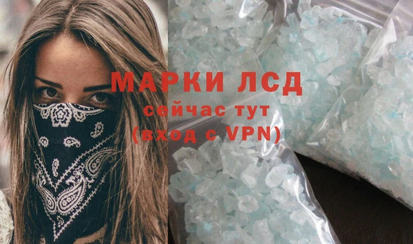 прущие грибы Бронницы