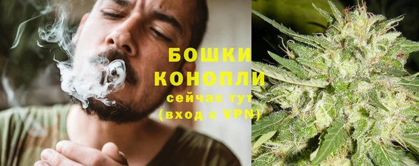 прущие грибы Бронницы