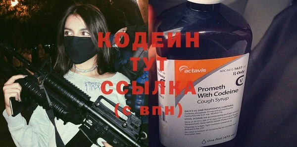 прущие грибы Бронницы