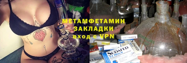 прущие грибы Бронницы