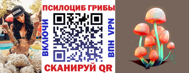 блэк спрут ONION  Нарьян-Мар  Псилоцибиновые грибы Cubensis 